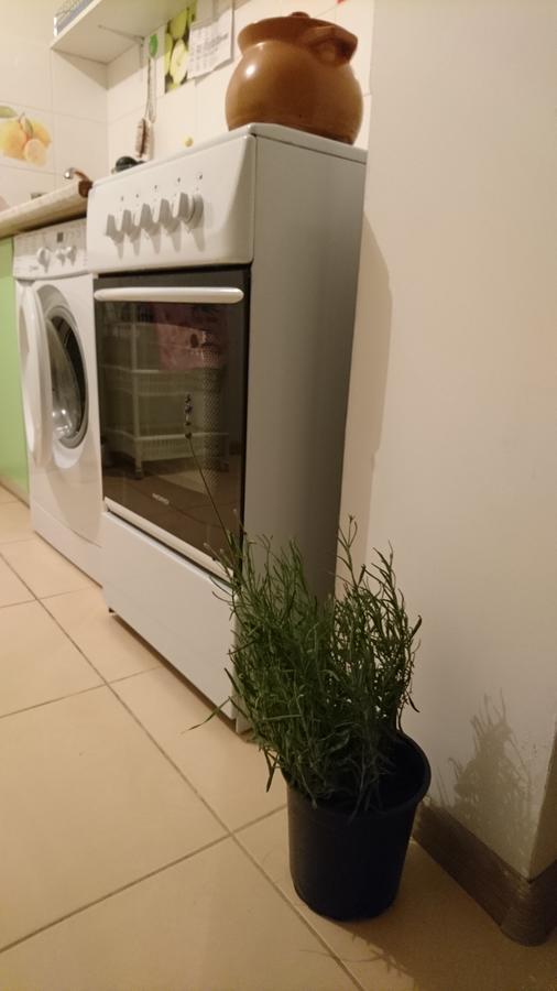 Comfortable Apartment On The River Bank Kiev Exterior foto